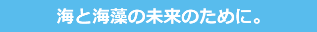 海と海藻の未来のために。